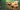 Cavapoochon Dog Breed Guide: Appearance, Personality, Training & Care Tips