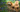 Cavapoochon Dog Breed Guide: Appearance, Personality, Training & Care Tips