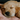 All Dog Beds