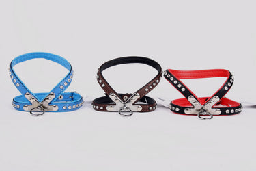 Small Breed Puppy and Toy Breed Harnesses