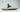 Scuff Tough Dog Bed - Smooth Beige