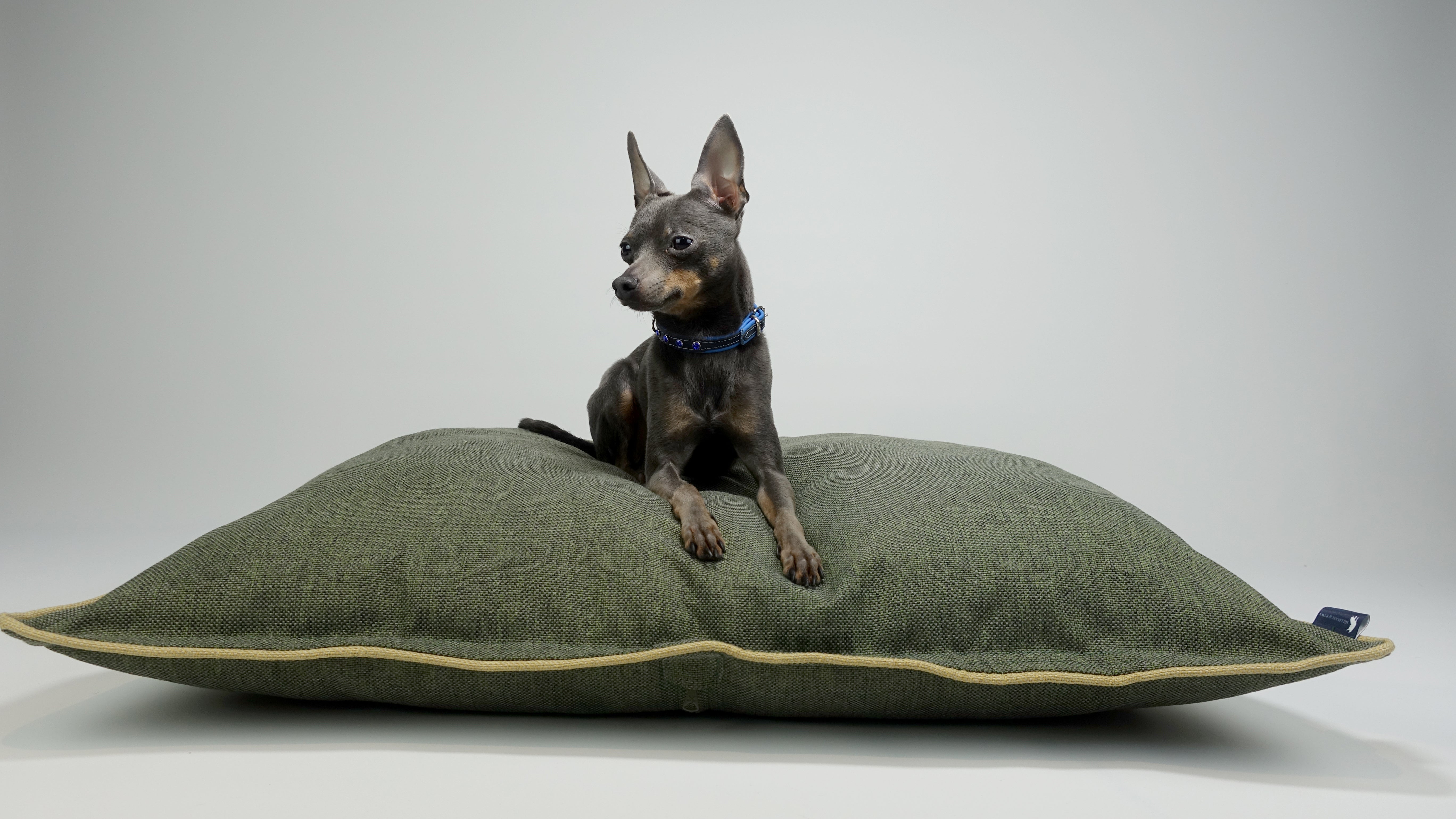 Country Canine Eco Beds - Green