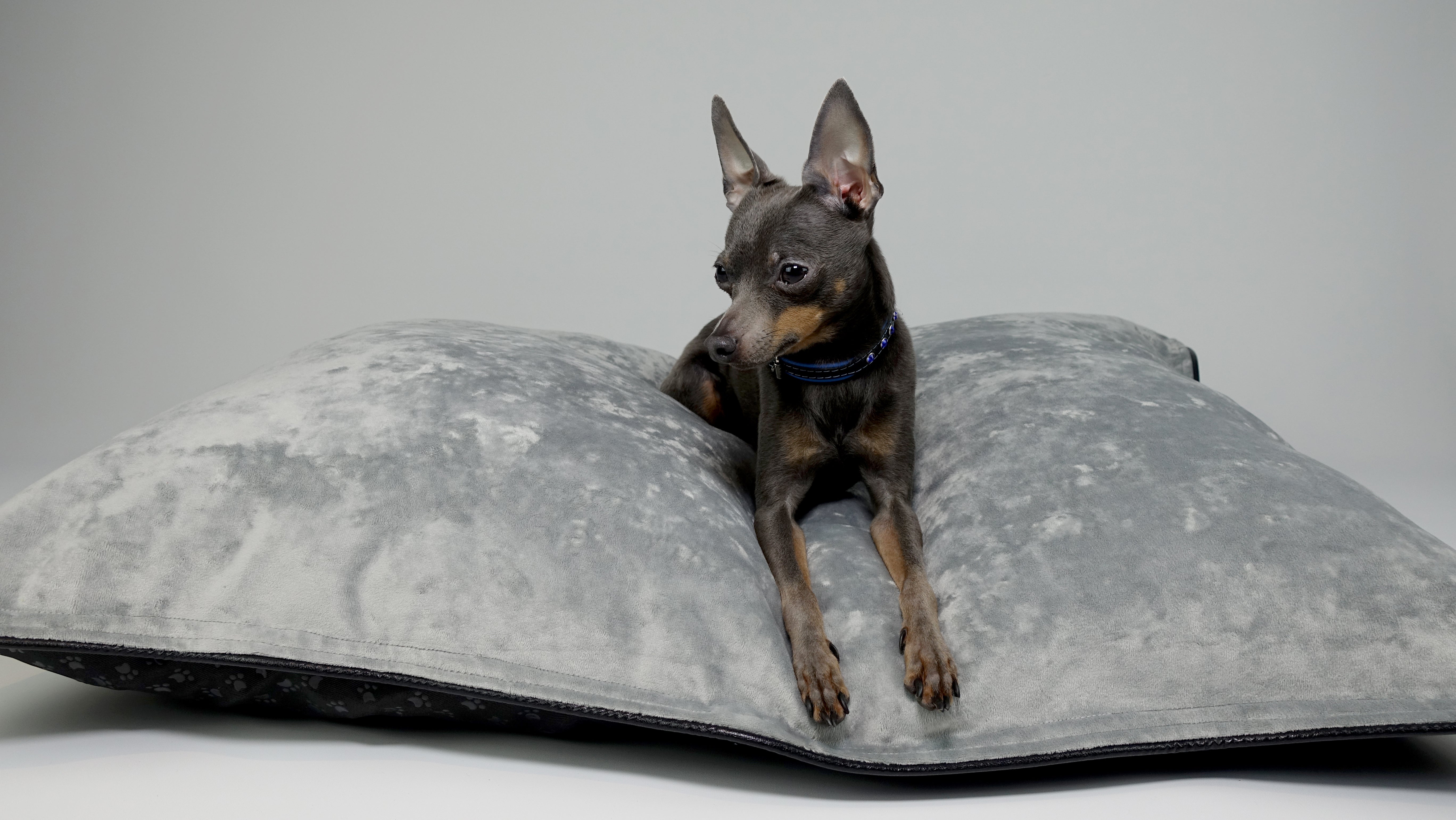 Scuff Tough Dog Bed - Grey
