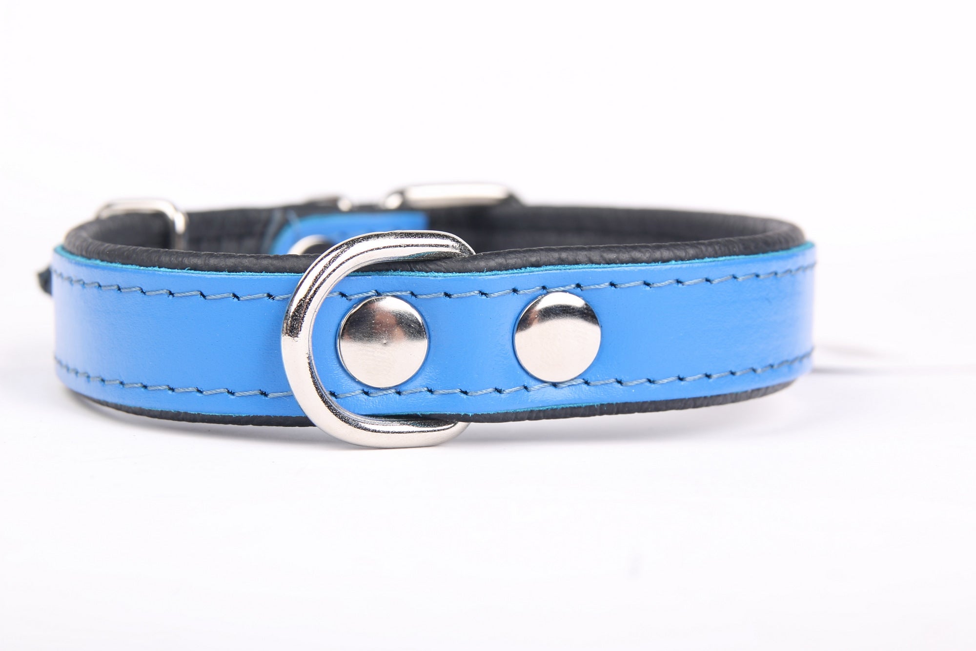 Hillfoot Classic Dog Collar - Blue