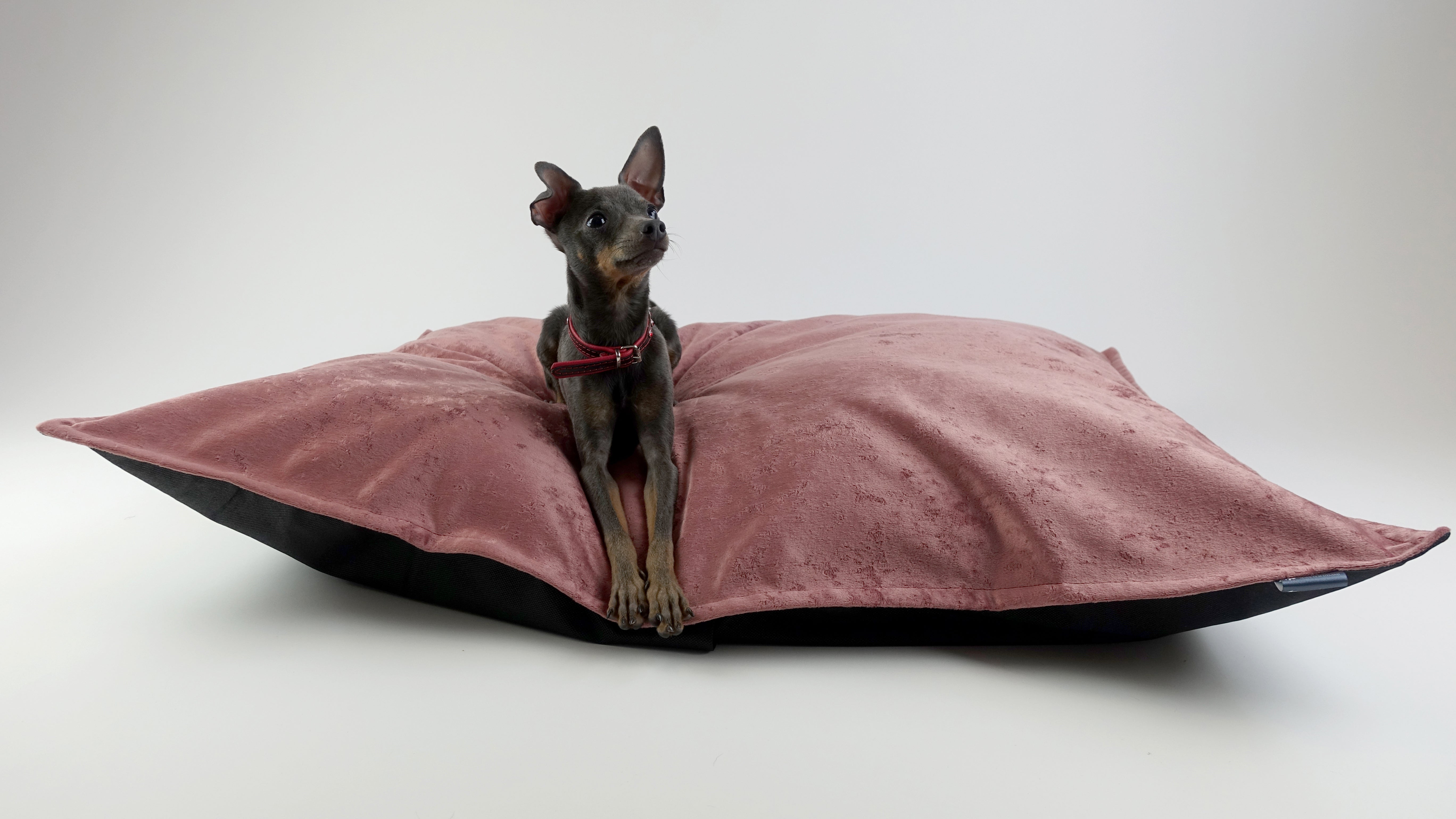 Scuff Tough Dog Bed - Blush Pink Velvet
