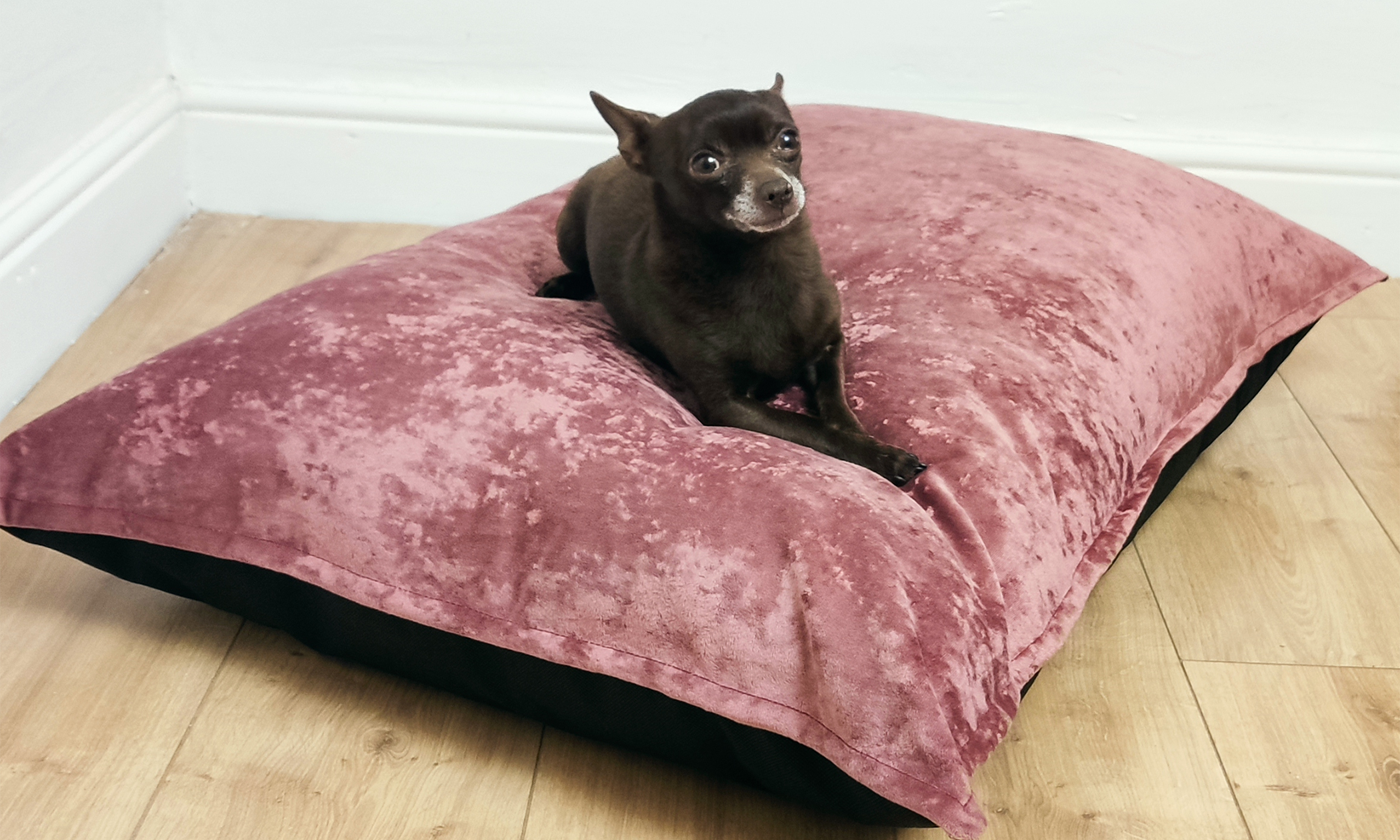 Scuff Tough Dog Bed Blush Pink Velvet
